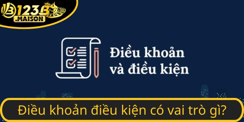 Vì sao bạn cần tuân thủ điều kiện điều khoản 123B?