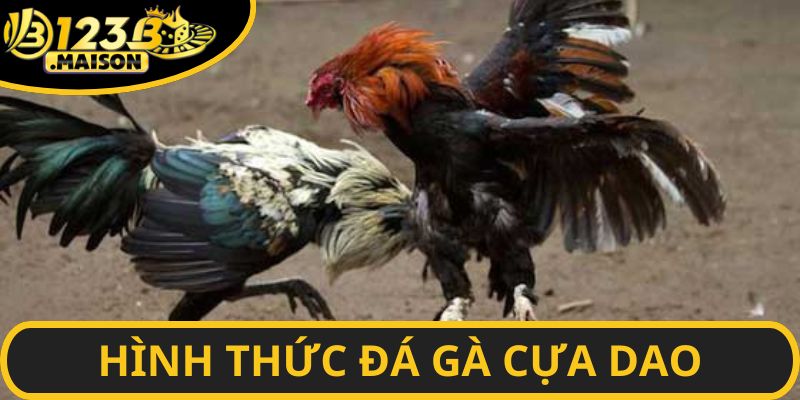 Các loại hình cá cược trong đá gà cựa dao 