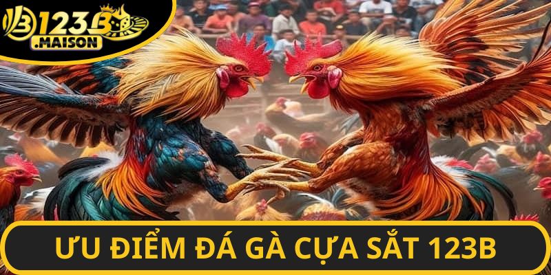 Thông tin cá cược tại sân chơi được đảm bảo sự minh bạch